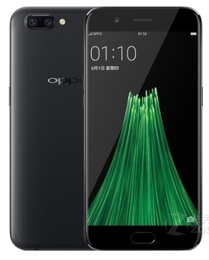 R11plus